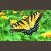 Allen Acres Bed & Breakfast
