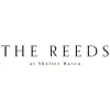 Reeds at Shelter Haven